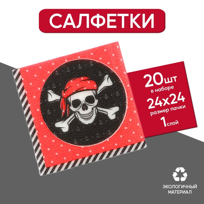 Салфетки Страна Карнавалия Пират 24х24 см набор 20 шт