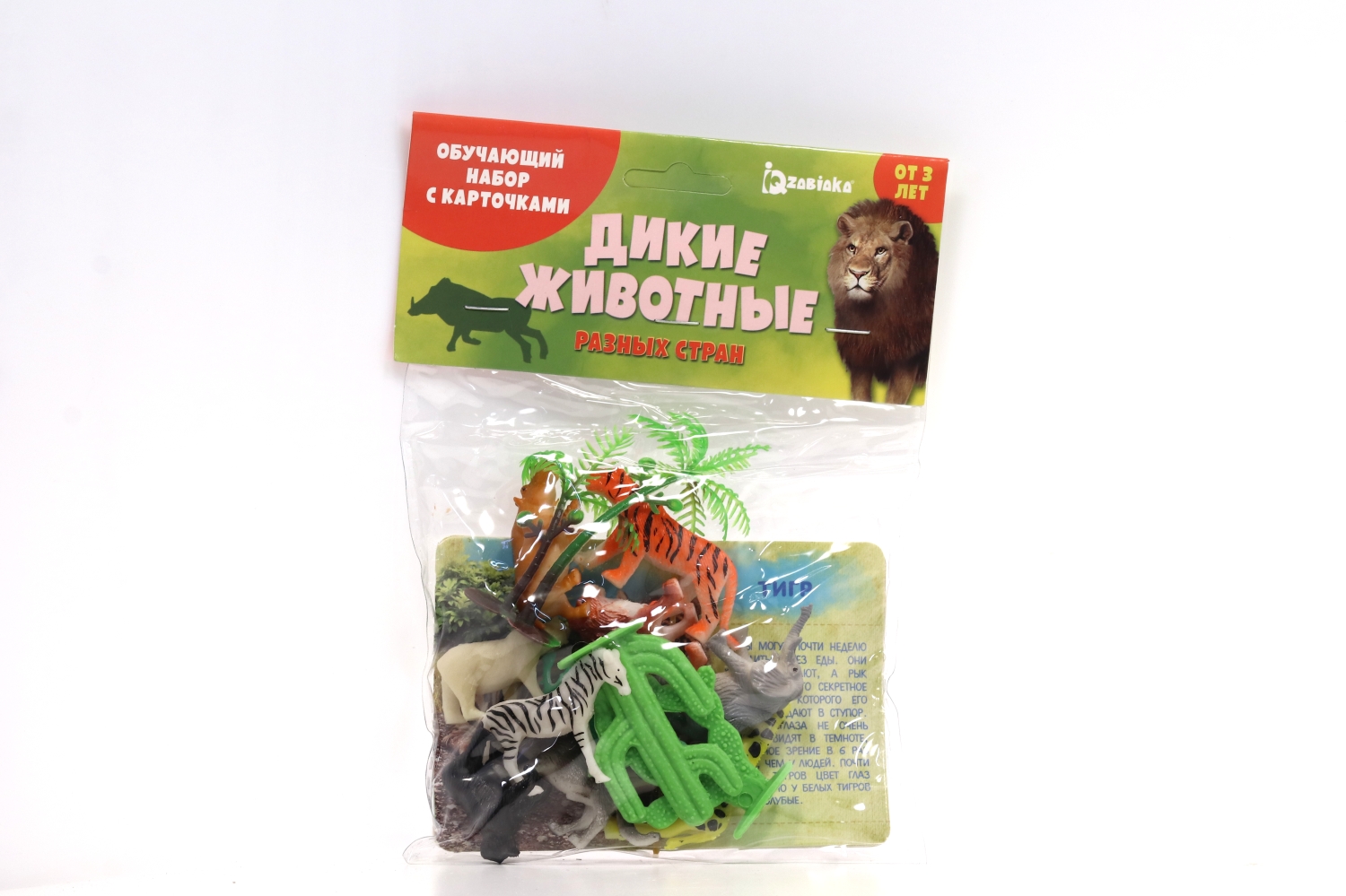 Набор животных с обучающими карточками «Дикие животные разных стран», животные пластик