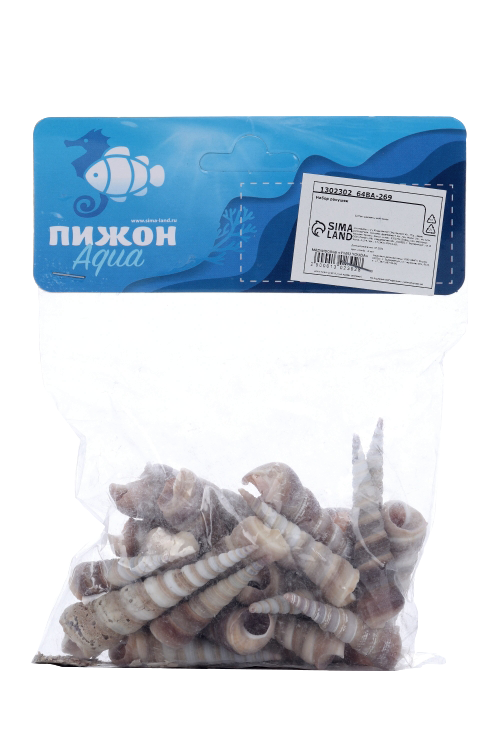 Набор ракушек 3-5,5 см, 100 г
