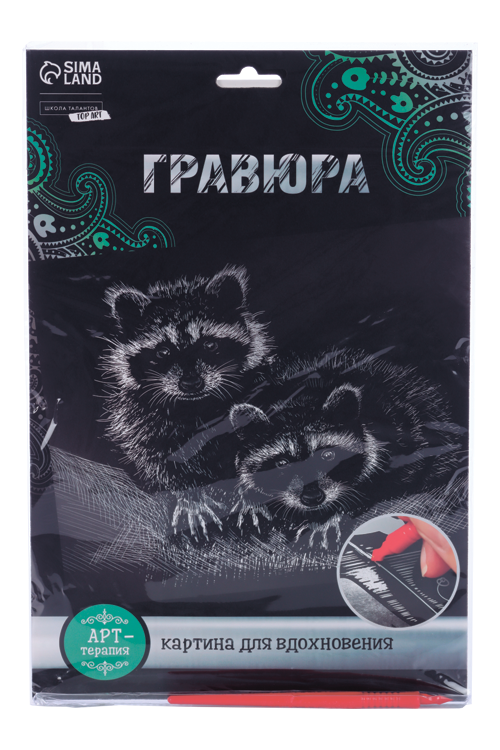 Гравюра Школа талантов «Еноты» с металлическим эффектом «серебро» А4