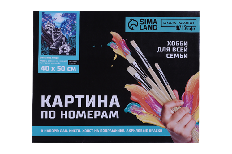 Картина по номерам Школа талантов на холсте с подрамником «Еноты под луной» 40х50 см