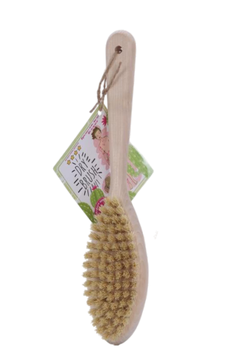 Щетка DRY BRUSH березовая д/сух массажа с щетиной из кактуса