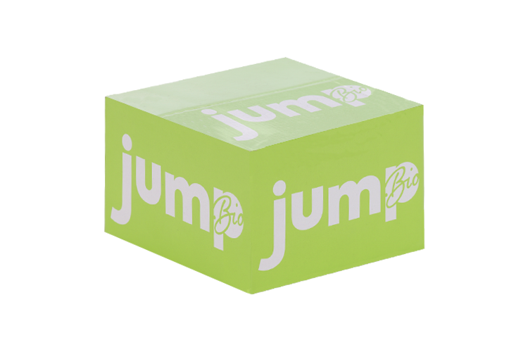 Щербет Jump Bio протеиновый с арахисовой пастой и гречишным чаем, 50 г, 6 шт
