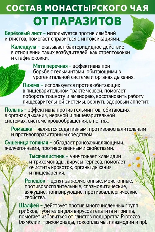 Чай Монастырский сбор от паразитов Natureka сбор трав 100грамм